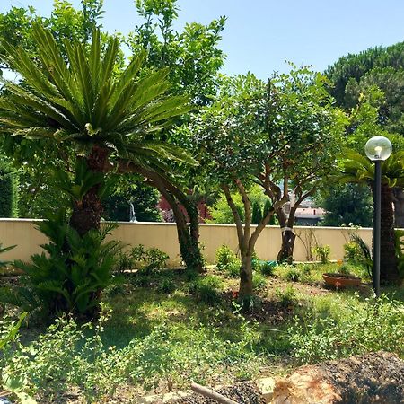 Villa Maria Cristina D'Amico Cava deʼ Tirreni Exteriör bild