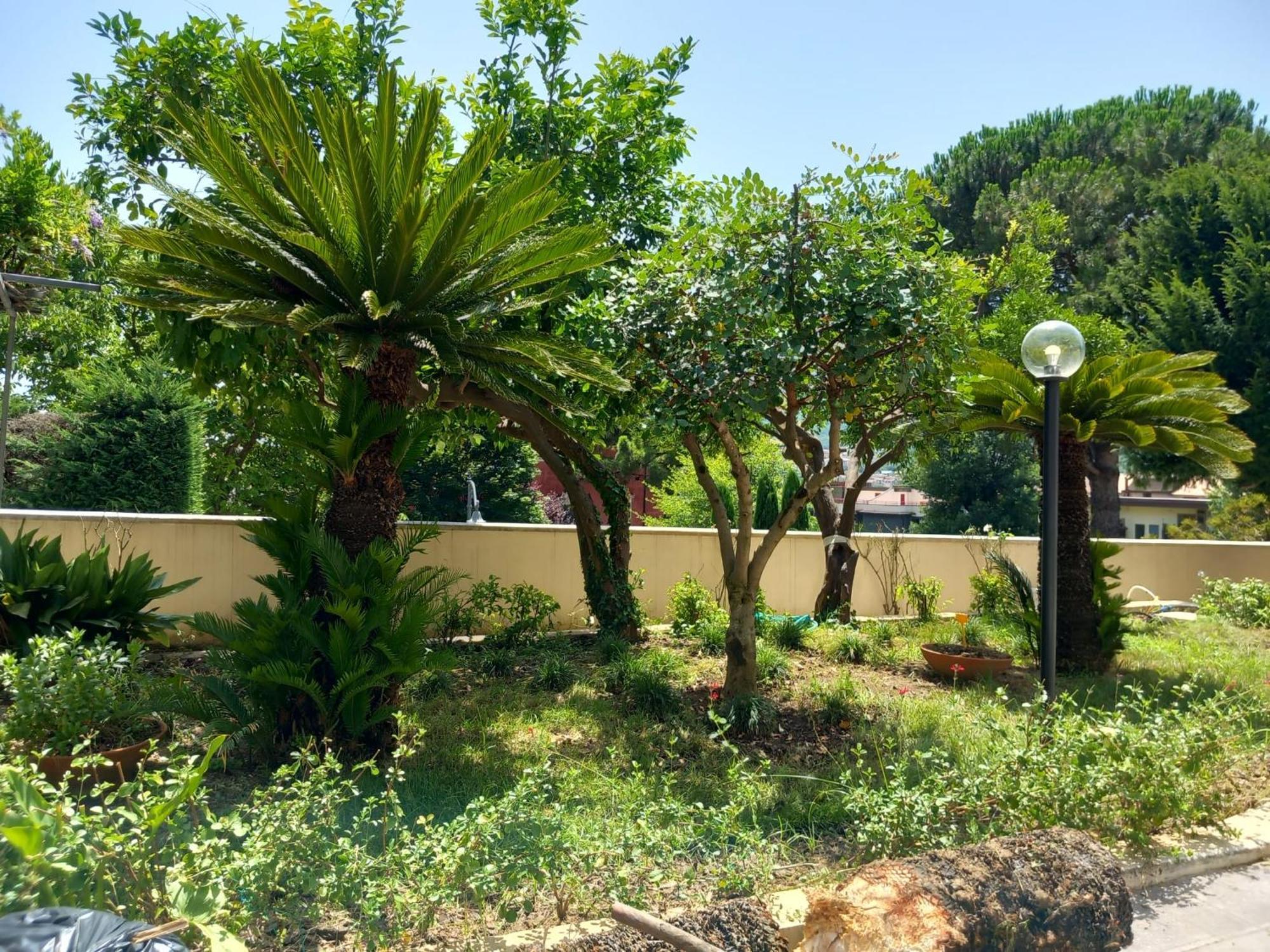 Villa Maria Cristina D'Amico Cava deʼ Tirreni Exteriör bild